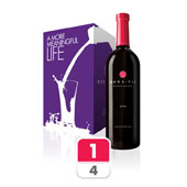 MonaVie Pulse